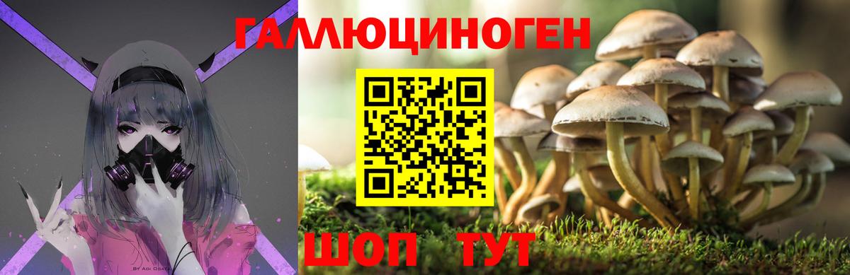 Псилоцибиновые грибы Psilocybine cubensis Ржев