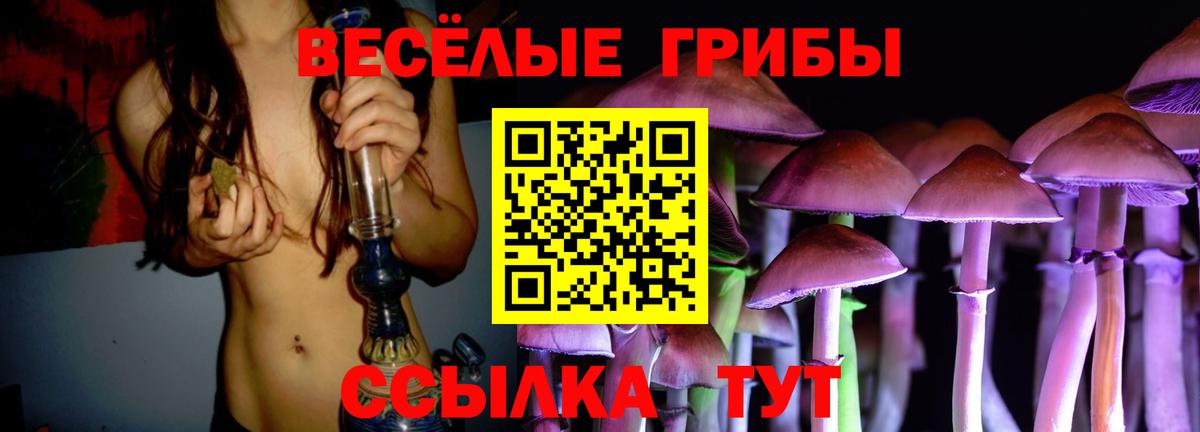 Ржев  Псилоцибиновые грибы Magic Shrooms  Псилоцибиновые грибы ЛСД  Вход с VPN 